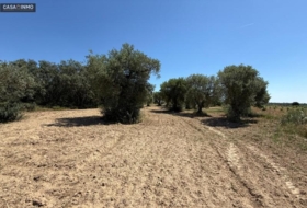 Barbastro 1800&nbsp;m²