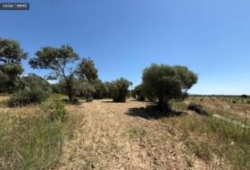 Barbastro 1800&nbsp;m²