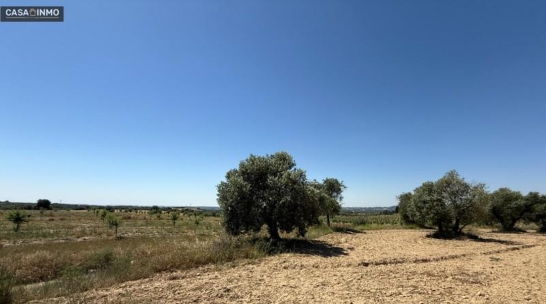 Huesca - Barbastro - 1800m2