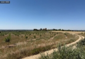 Non-developable land for sale on España, Barbastro, ref: TR412305 photo