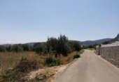 Terreny no urbanitzable en venda a la España, Orba, ref.: TR113489 foto