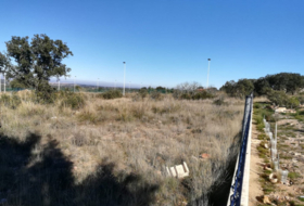 Buenavista 1280&nbsp;m²