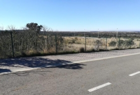 Buenavista 1280&nbsp;m²