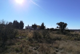 Buenavista 1280&nbsp;m²