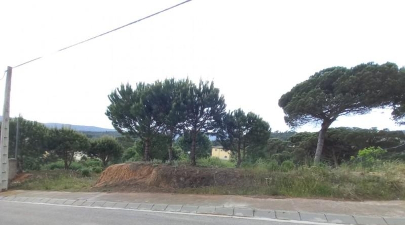 Barcelona - Tordera - 797m2