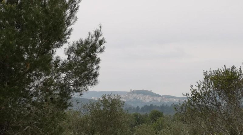 Castellón - Cervera del Maestrat - 15060m2