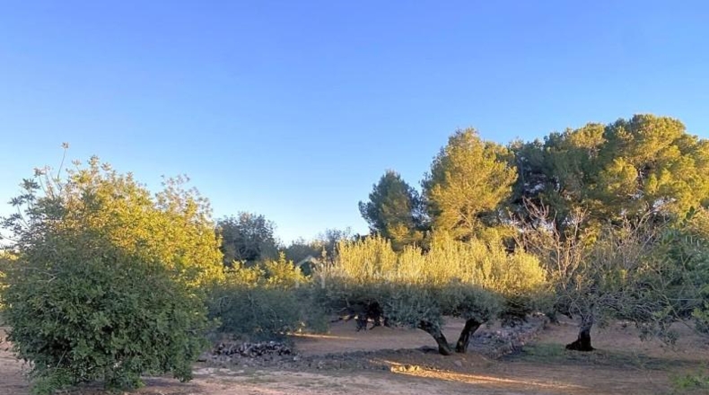 Tarragona - el Perelló - 4969m2
