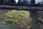 Casa de campo con terreno en venta en la España, Ponferrada, ref: TR295906 foto