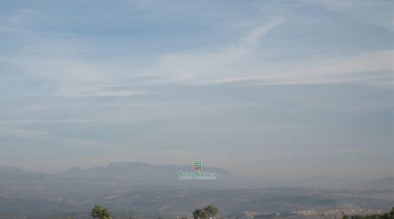 Granada - Дейфонтес - 20000m2