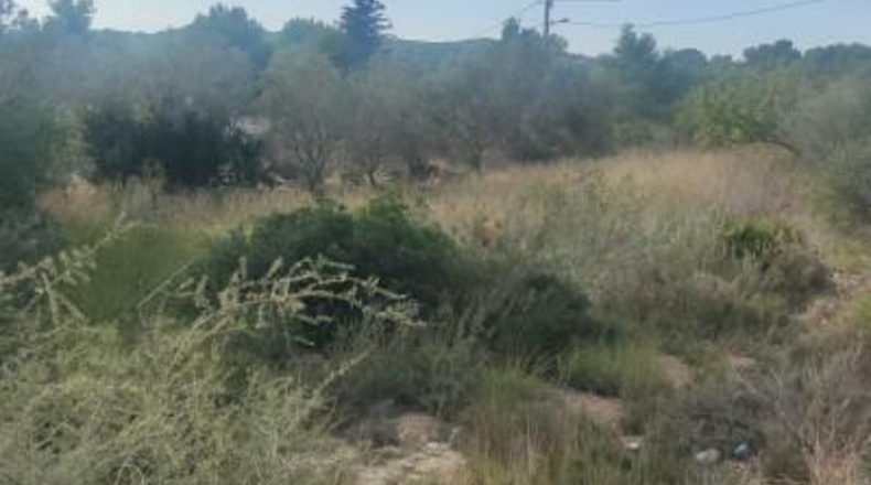 Tarragona - la Joncosa del Montmell - 604m2