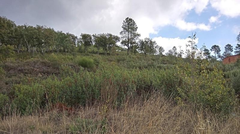 Cáceres - Valencia de Alcántara - 9300m2
