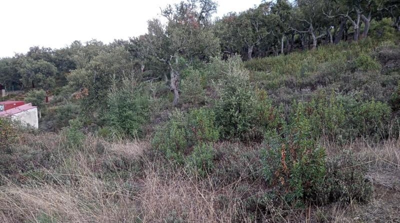 Cáceres - Valencia de Alcántara - 9300m2
