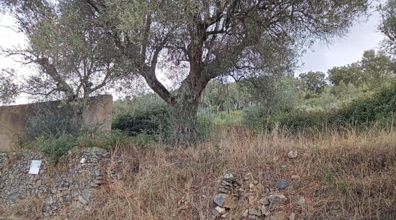 Cáceres - Valencia de Alcántara - 9300m2