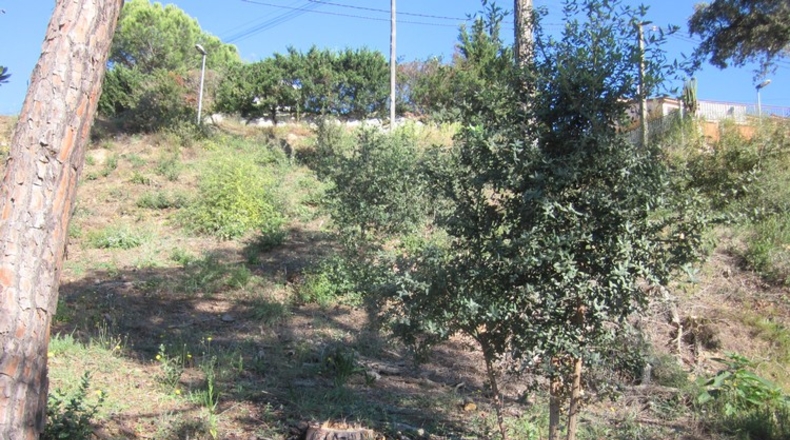 Málaga - Mijas - 450m2
