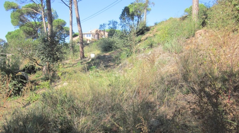 Málaga - Mijas - 450m2