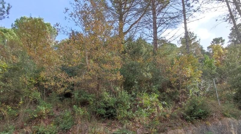 Barcelona - Monistrol de Calders - 589m2