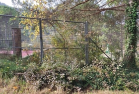 Foto 11