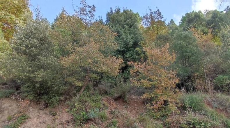 Barcelona - Monistrol de Calders - 589m2