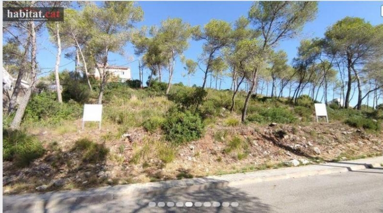 Barcelona - Olivella - 503m2