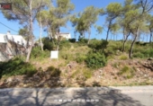 Suelo urbano en venta en la España, Olivella, ref: TR127920 foto
