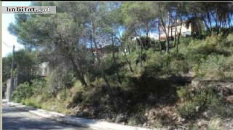 Barcelona - Olivella - 503m2