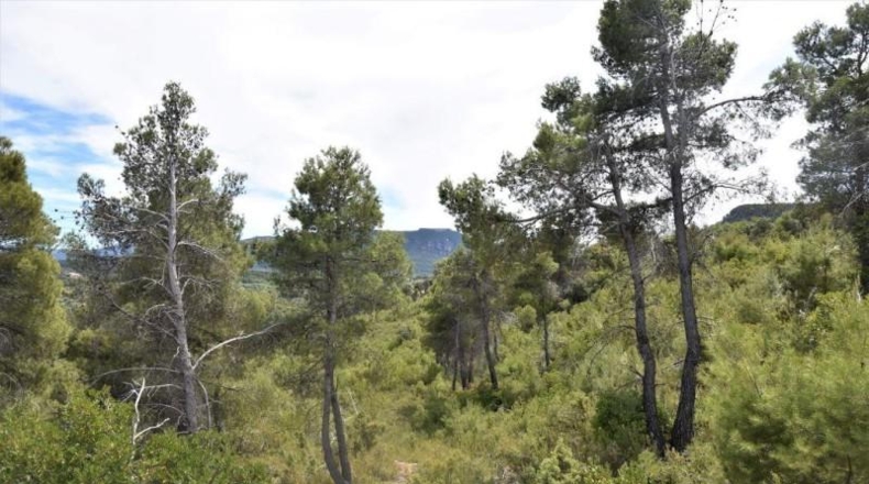 Теруэль - Valderrobres - 144700m2