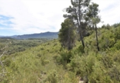 Xalet independent amb terreny en venda a la España, Vall-de-roures, ref.: TR312358 foto