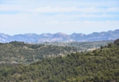 Xalet independent amb terreny en venda a la España, Vall-de-roures, ref.: TR312358 foto