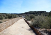 Terreny no urbanitzable en venda a la España, la Vall d'Alba, ref.: TR237231 foto