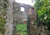 Casa de camp amb terreny en venda a la España, Ribadavia, ref.: TR399776 foto