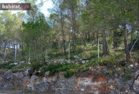 Olivella 1067&nbsp;m²