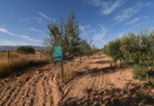 Terreno no urbanizable en venta en la España, Fuente Álamo, ref: TR337644 foto