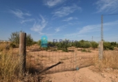 Terreno no urbanizable en venta en la España, Fuente Álamo, ref: TR337644 foto
