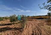 Terreno no urbanizable en venta en la España, Fuente Álamo, ref: TR337644 foto