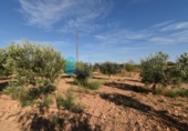 Terreno no urbanizable en venta en la España, Fuente Álamo, ref: TR337644 foto