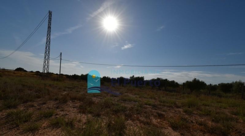 Murcia - Фуэнте Аламо де Мурсия - 15967m2
