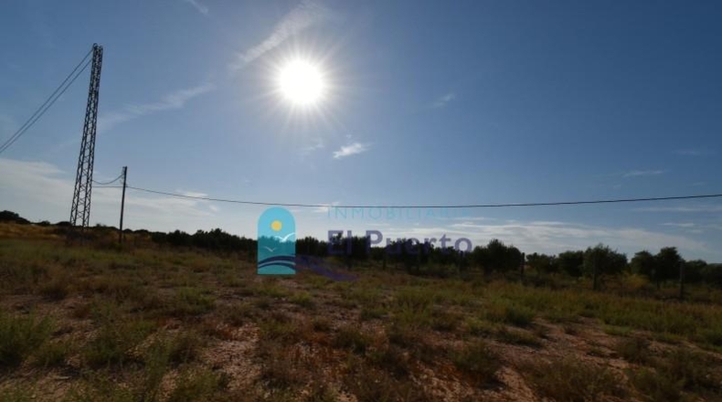 Murcia - Фуэнте Аламо де Мурсия - 15967m2