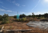 Terreno no urbanizable en venta en la España, Fuente Álamo, ref: TR337644 foto