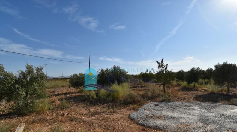 Murcia - Фуэнте Аламо де Мурсия - 15967m2
