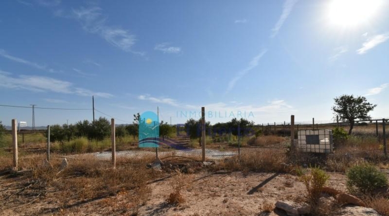 Murcia - Фуэнте Аламо де Мурсия - 15967m2