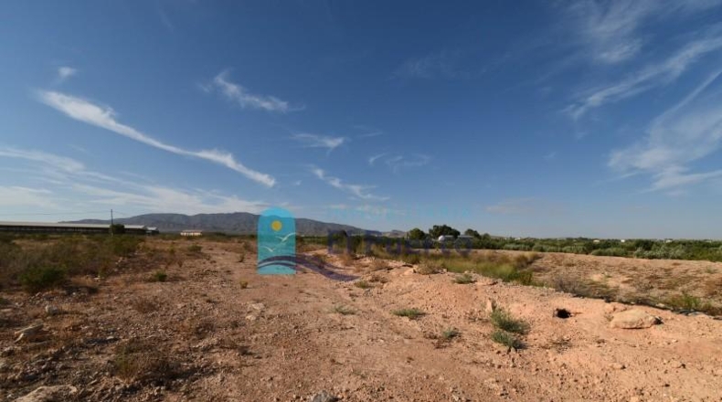 Murcia - Фуэнте Аламо де Мурсия - 15967m2