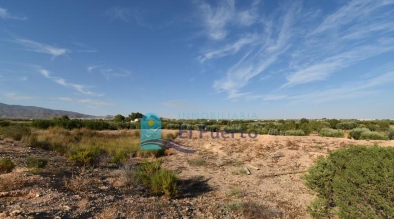 Murcia - Фуэнте Аламо де Мурсия - 15967m2