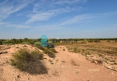 Terreno no urbanizable en venta en la España, Fuente Álamo, ref: TR337644 foto