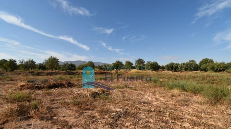 Murcia - Фуэнте Аламо де Мурсия - 15967m2