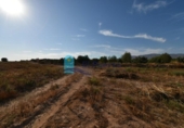 Terreno no urbanizable en venta en la España, Fuente Álamo, ref: TR337644 foto