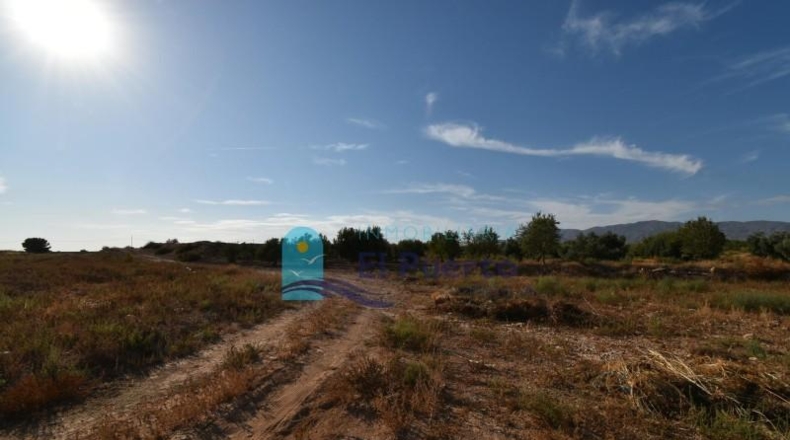 Murcia - Фуэнте Аламо де Мурсия - 15967m2