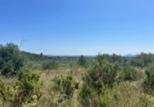 Terreno no urbanizable en venta en la España, Mas de Barberans, ref: TR340940 foto