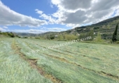 Terreno no urbanizable en venta en la España, Estella, ref: TR243399 foto
