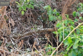 Villastar 355&nbsp;m²