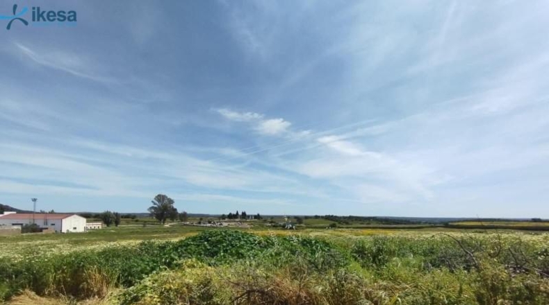 Huelva - Alosno - 1264m2